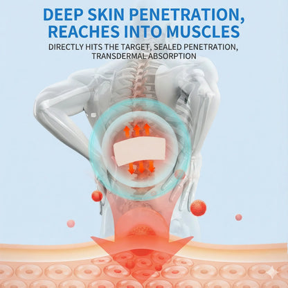 Japanese Pain Relief Patch