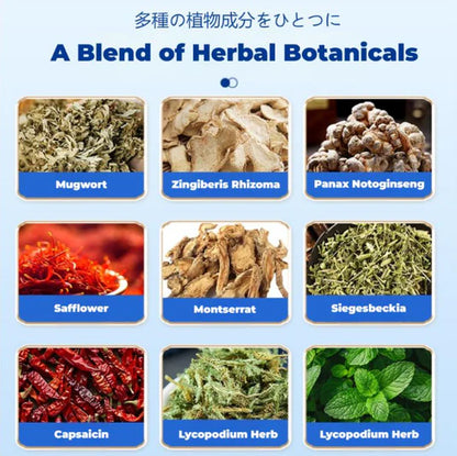 Japanese Pain Relief Patch